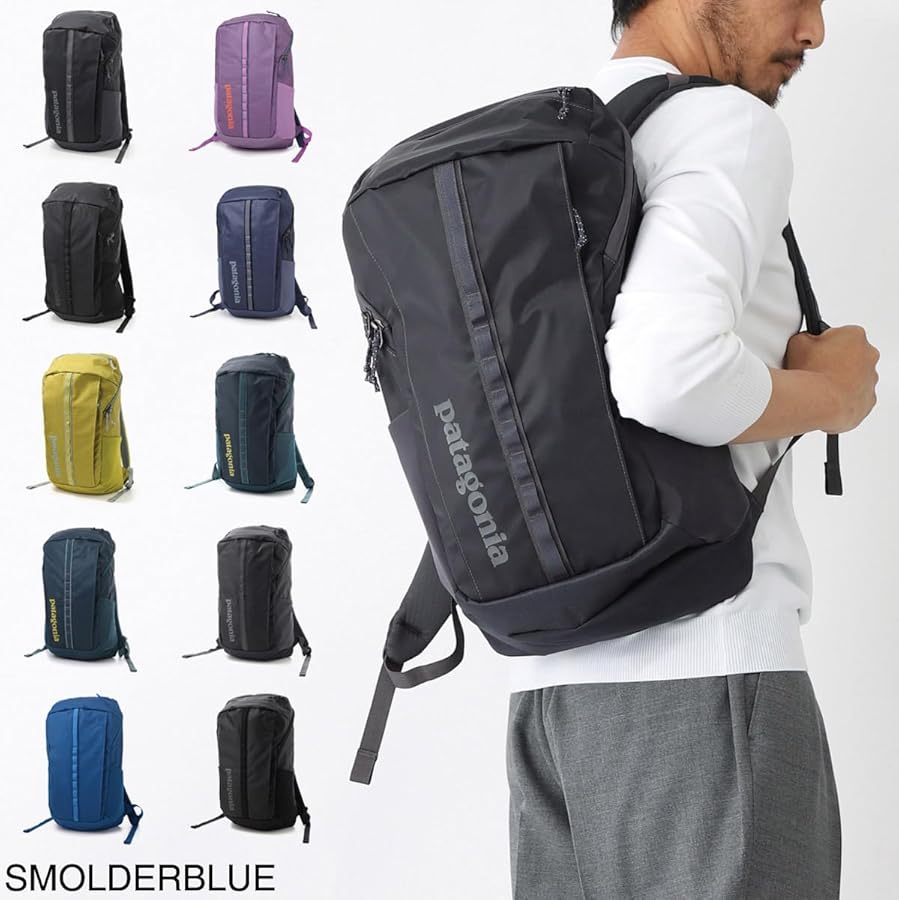 【美品】patagonia 25L バックパック リュック パタゴニア org.jpg